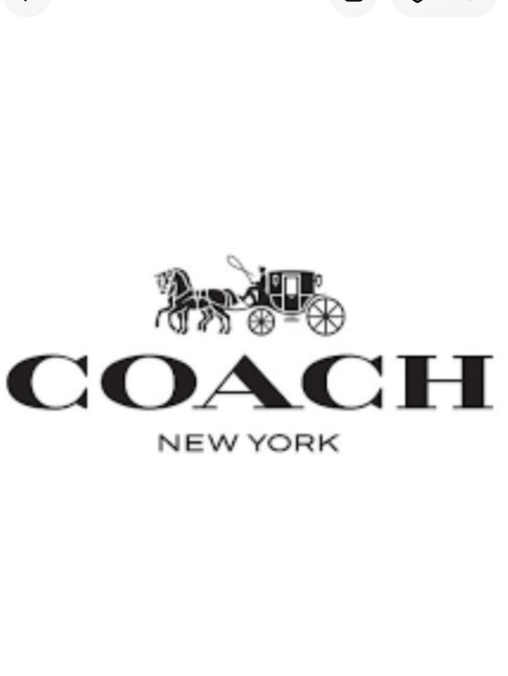 Coach Dust Bag NWOT